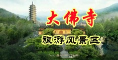 肏骚女人肥逼中国浙江-新昌大佛寺旅游风景区